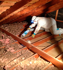 Remove Insulation