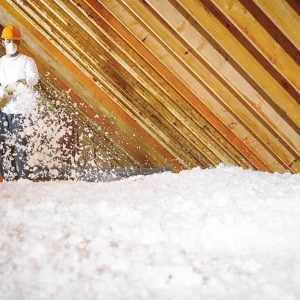 Remove Insulation